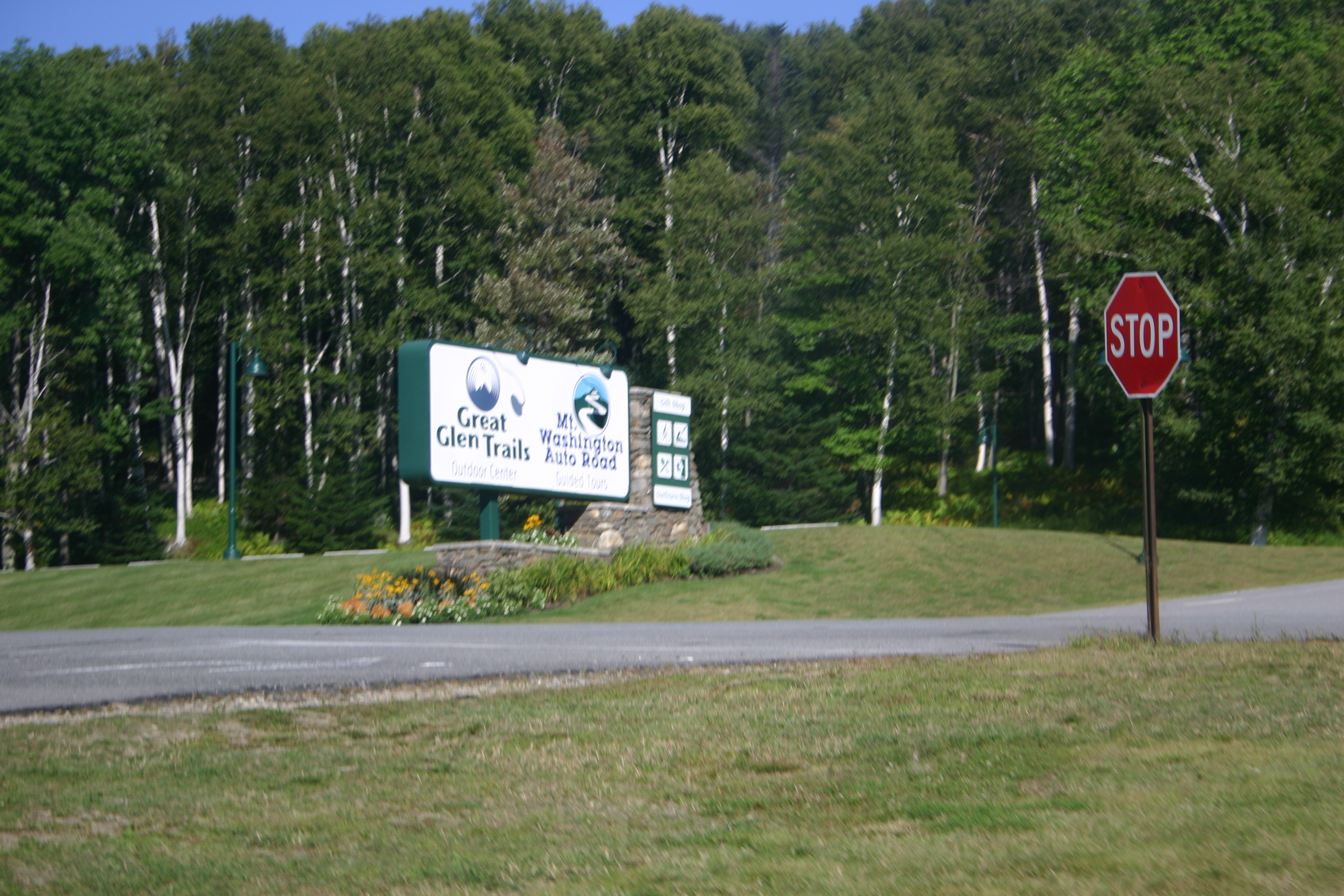 picture 9.